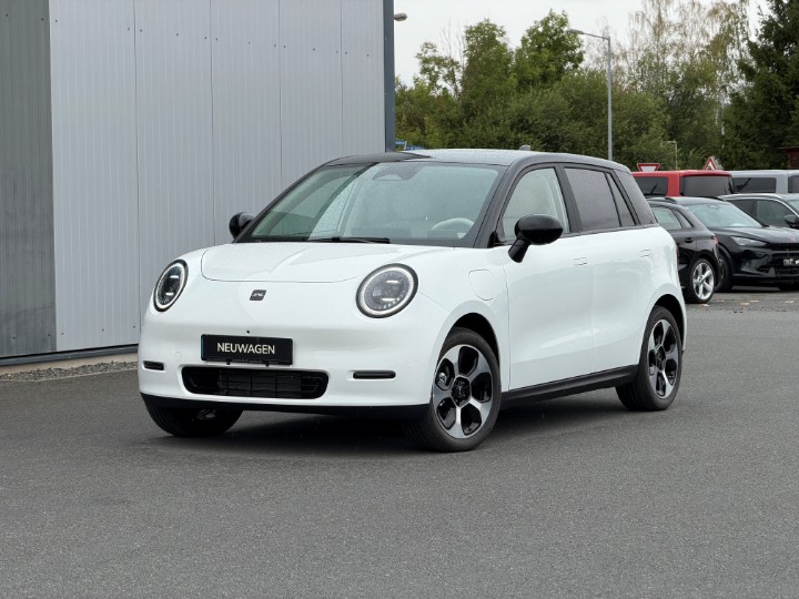 JAC E30X Nordic Edition 50 *Pano*Leder*360Grad – Foto